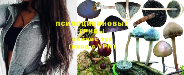 крисы Воткинск