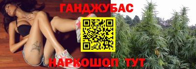 a pvp Гатчина