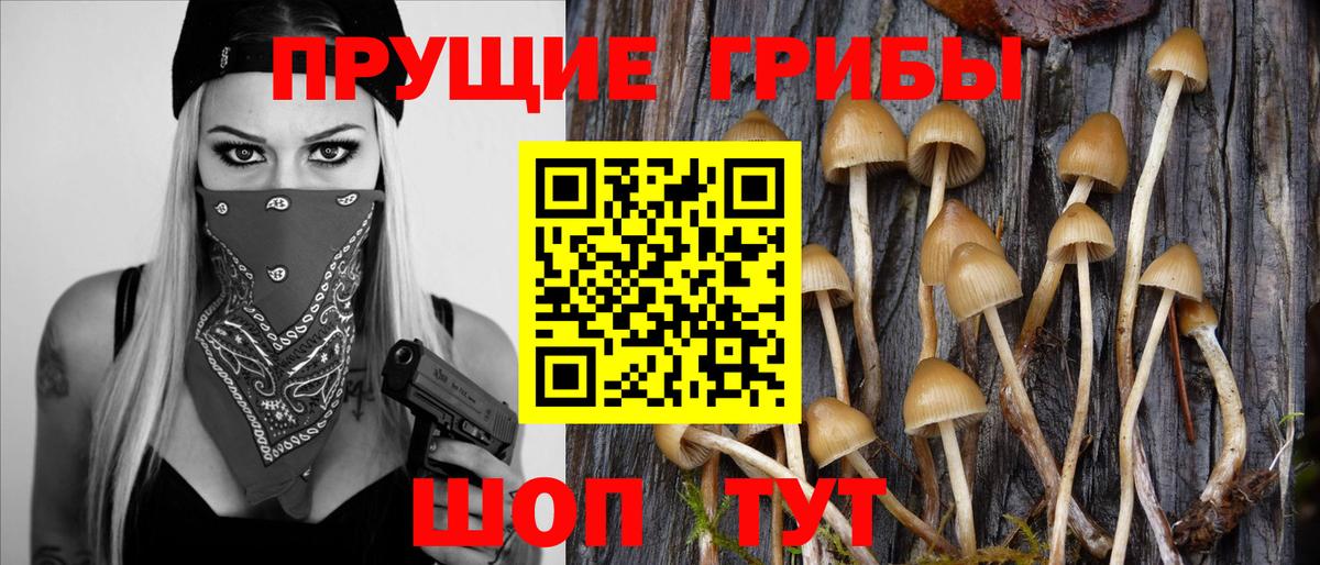 Псилоцибиновые грибы MAGIC MUSHROOMS  купить закладку  Надым  Вход с VPN 